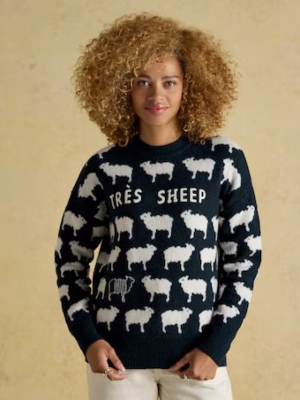 JOULES Knitted Navy Tres Sheep Jumper/Sweater with Crew Neck